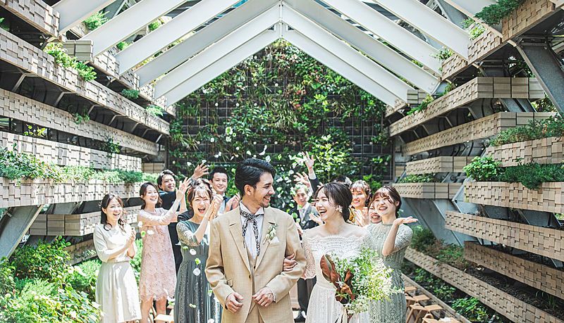 メディー（MEDI）