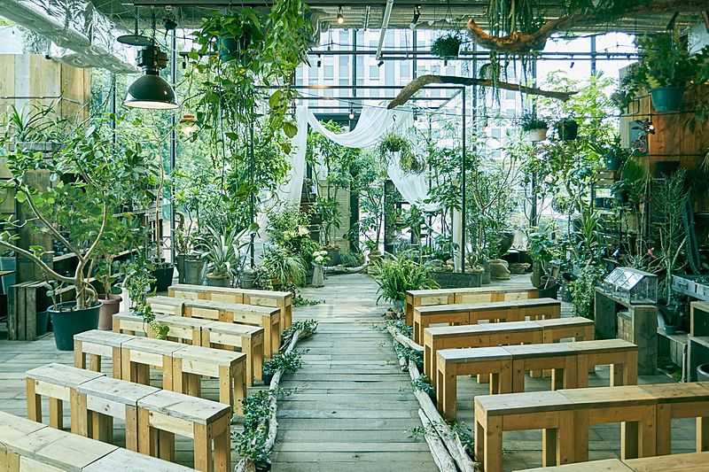 メディー（MEDI）