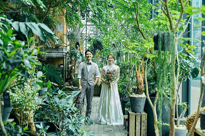 メディー（MEDI）