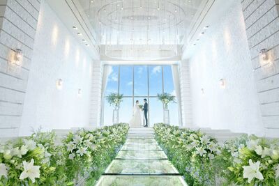 アルマリアン福岡（ALMALIEN FUKUOKA）