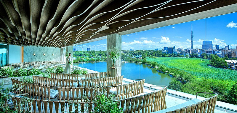 ルーキス（LUCIS）