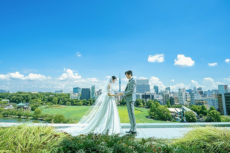 ルーキス（LUCIS）