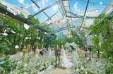 ソンブルイユ OSAKA WEDDING