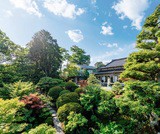 辻家庭園