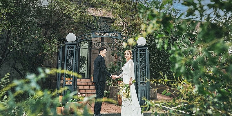 マリーゴールド熊本