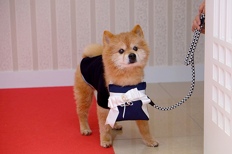 マリクオーレ（marie cuore）