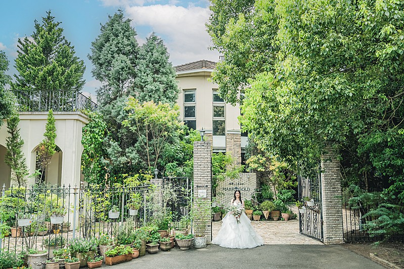 マリーゴールド 久留米