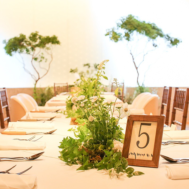 クッチーナ デル ナブッコ（Cucina del NABUCCO）