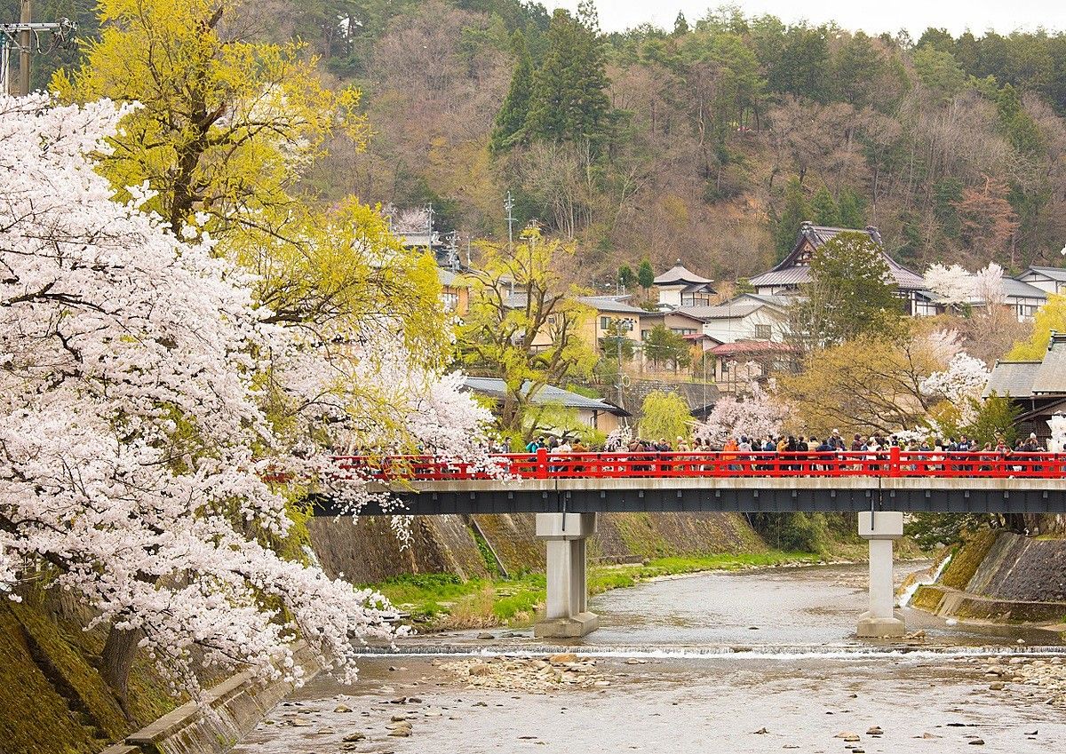 265年の歴史と伝統を誇る老舗旅館で和モダンな結婚式が叶う「NAGASE